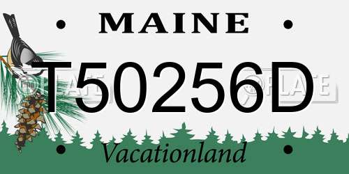 T50256D Maine License Plate