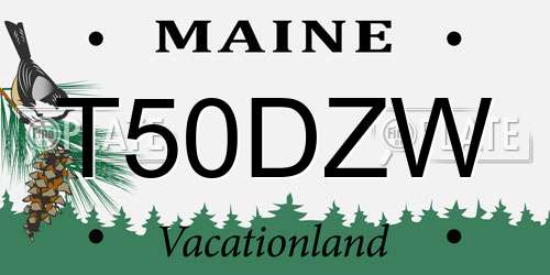T50DZW Maine License Plate