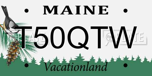 T50QTW Maine License Plate