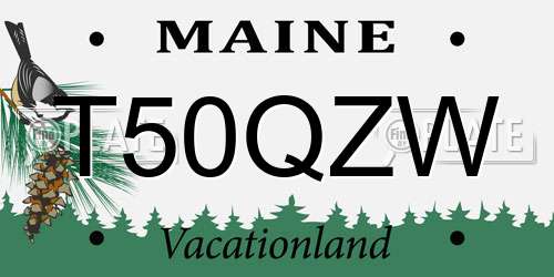 T50QZW Maine License Plate