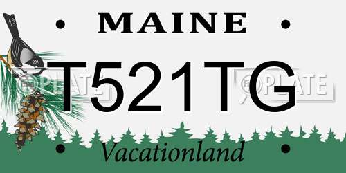 T521TG Maine License Plate