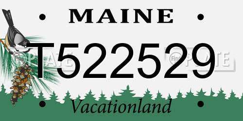 T522529 Maine License Plate