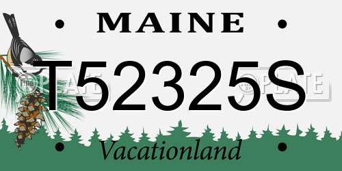 T52325S Maine License Plate