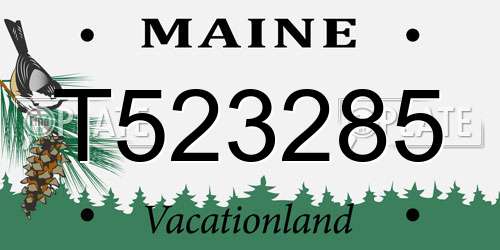 T523285 Maine License Plate
