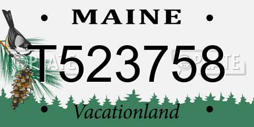 T523758 Maine License Plate