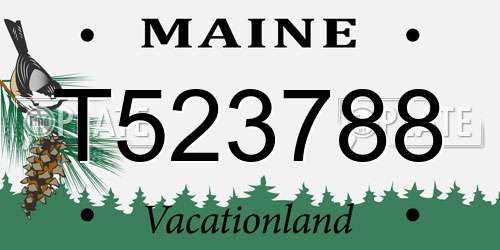 T523788 Maine License Plate