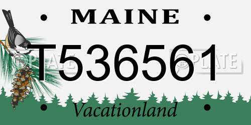 T536561 Maine License Plate