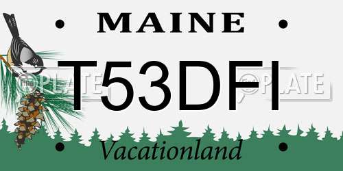 T53DFI Maine License Plate