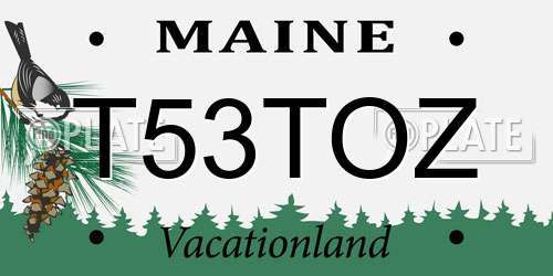 T53TOZ Maine License Plate