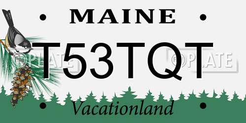 T53TQT Maine License Plate