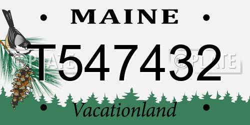T547432 Maine License Plate