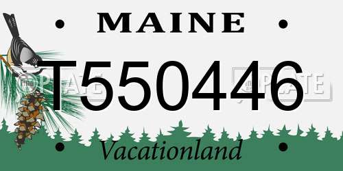 T550446 Maine License Plate