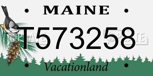 T573258 Maine License Plate