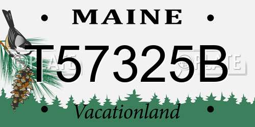 T57325B Maine License Plate