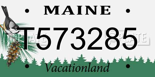 T573285 Maine License Plate
