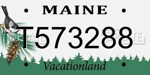 T573288 Maine License Plate