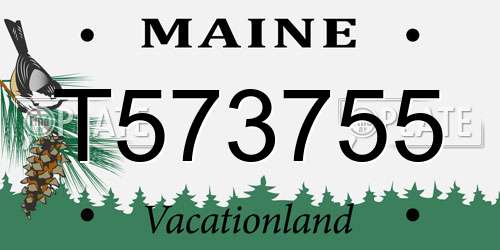 T573755 Maine License Plate