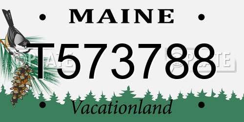 T573788 Maine License Plate
