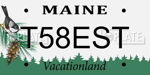 T58EST Maine License Plate
