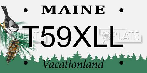 T59XLL Maine License Plate