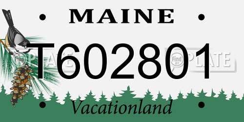 T602801 Maine License Plate
