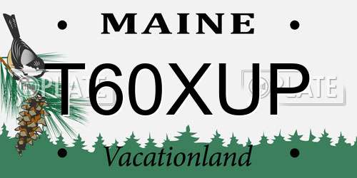 T60XUP Maine License Plate