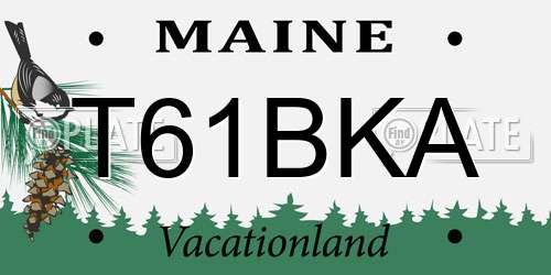 T61BKA Maine License Plate