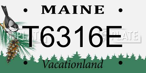 T6316E Maine License Plate