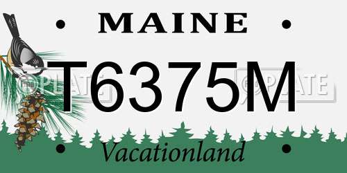 T6375M Maine License Plate