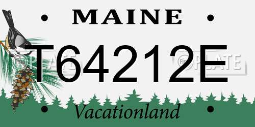 T64212E Maine License Plate