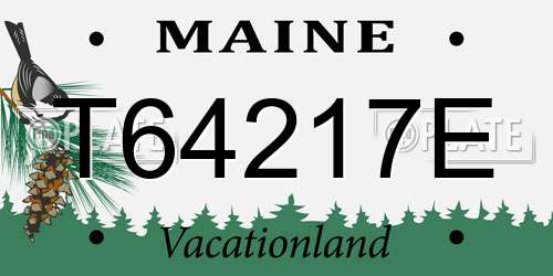 T64217E Maine License Plate