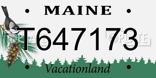 T647173 Maine License Plate