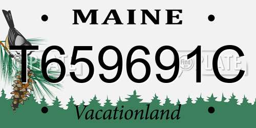T659691C Maine License Plate