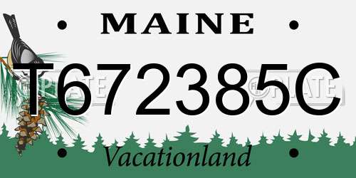 T672385C Maine License Plate