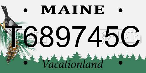 T689745C Maine License Plate