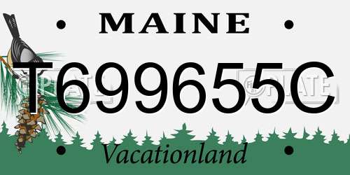 T699655C Maine License Plate
