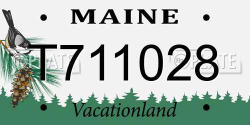 T711028 Maine License Plate