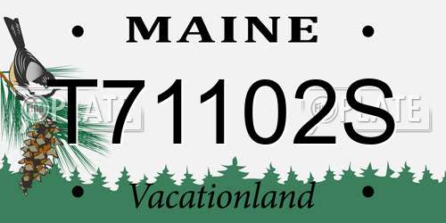 T71102S Maine License Plate