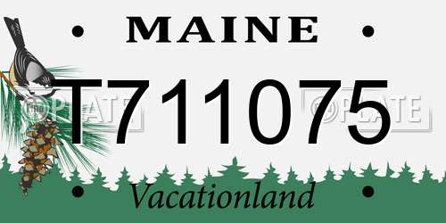 T711075 Maine License Plate