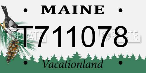 T711078 Maine License Plate