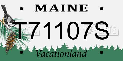 T71107S Maine License Plate