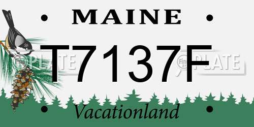 T7137F Maine License Plate
