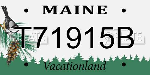T71915B Maine License Plate