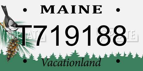 T719188 Maine License Plate
