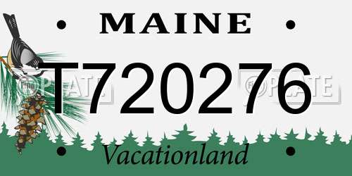 T720276 Maine License Plate