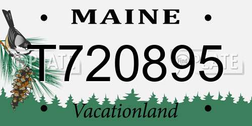 T720895 Maine License Plate