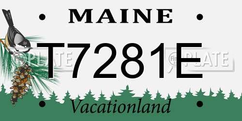 T7281E Maine License Plate