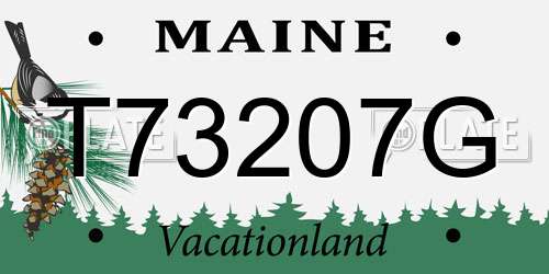 T73207G Maine License Plate