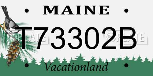 T73302B Maine License Plate