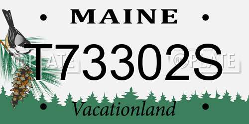 T73302S Maine License Plate